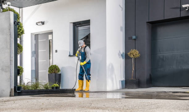 Best Roof Washing  in Cockeysville, MD